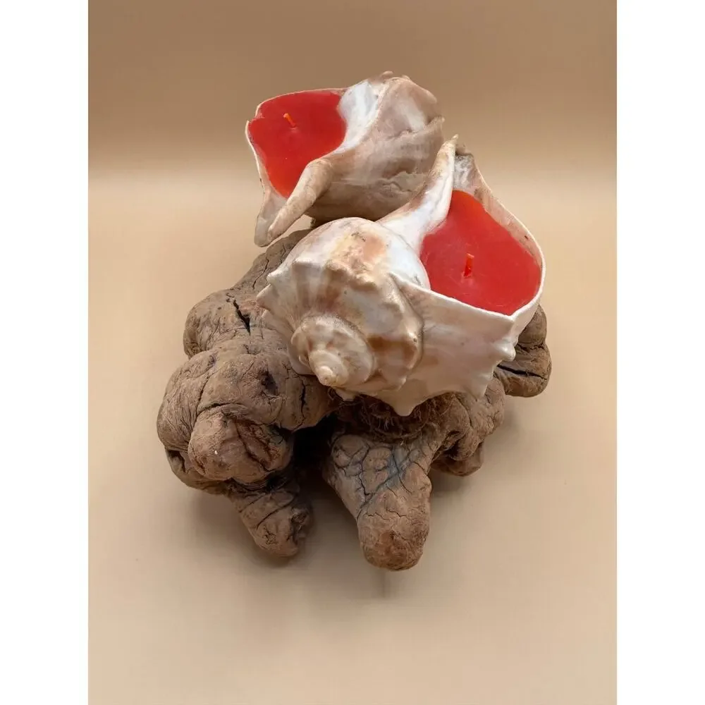 🐚 Vintage Seashell Candle Holder Driftwood Base Miami Florida Beach Decor